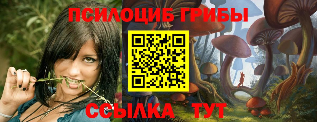 наркошоп  Вход с VPN  Уварово  Галлюциногенные грибы MAGIC MUSHROOMS  Псилоцибиновые грибы мицелий 